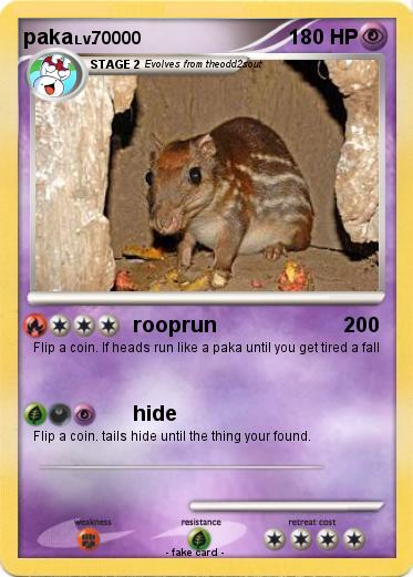 Pokemon paka