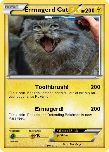 Pokemon Ermagerd Cat
