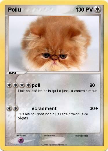 Pokemon Poilu