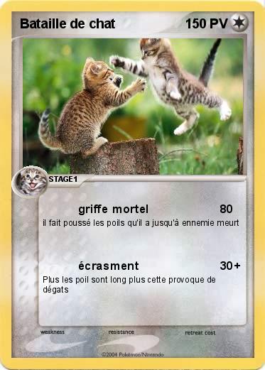 Pokemon Bataille de chat