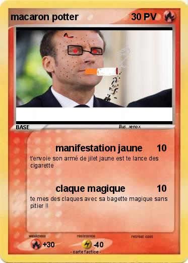 Pokemon macaron potter