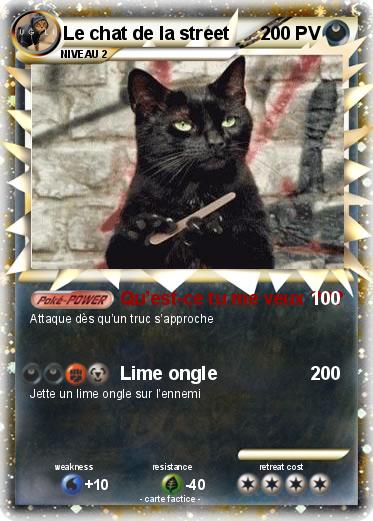 Pokemon Le chat de la street