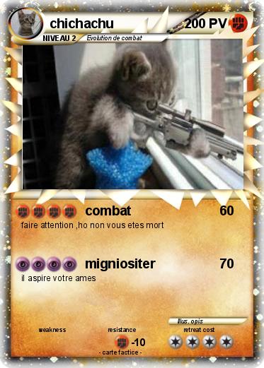 Pokemon chichachu