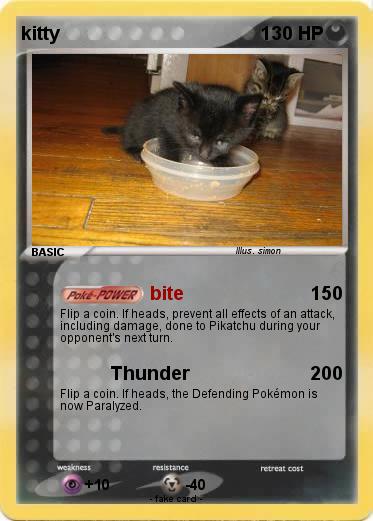 Pokemon kitty