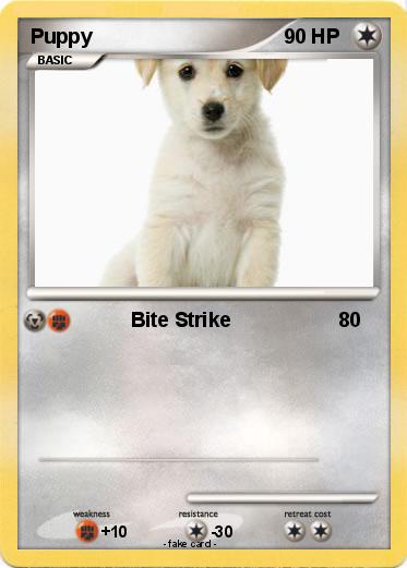 Pokemon Puppy