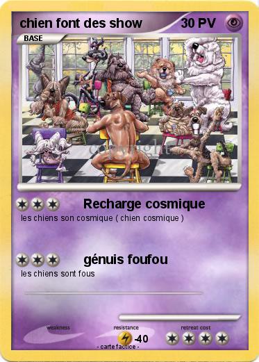 Pokemon chien font des show