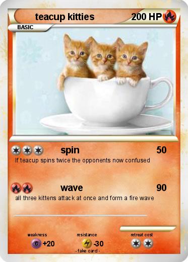 Pokemon teacup kitties
