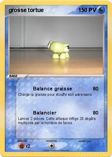 Pokemon grosse tortue