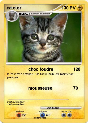 Pokemon catotor