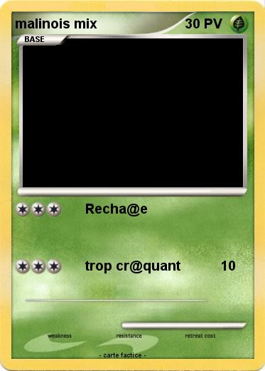 Pokemon malinois mix