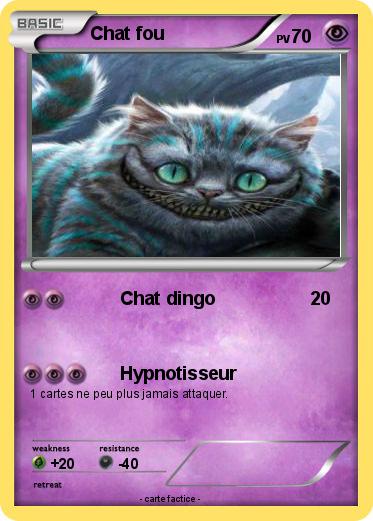 Pokemon Chat fou