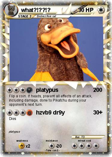 Pokemon what?!??!?