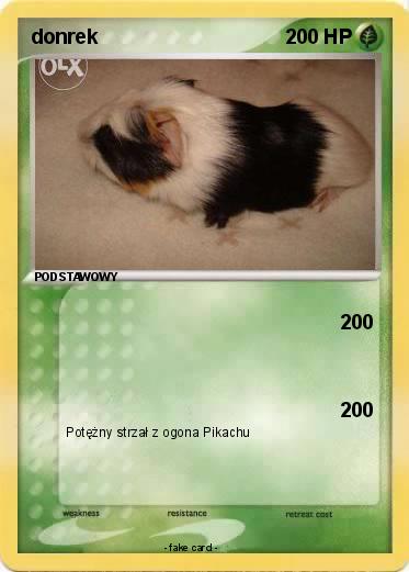 Pokemon donrek