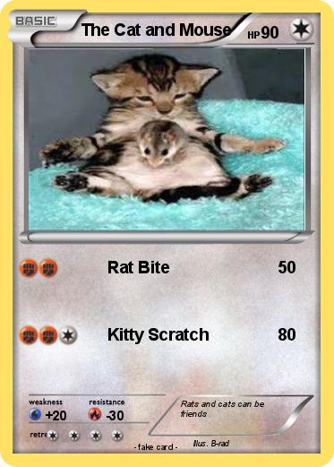 Pokemon The Cat and Mouse
