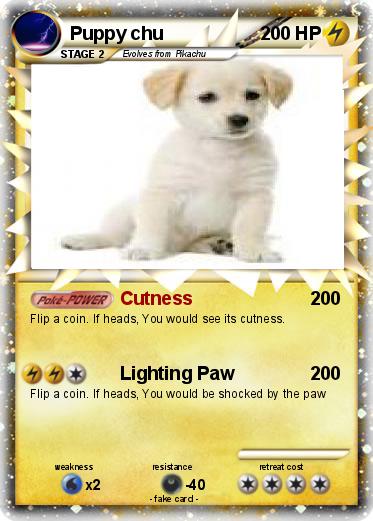 Pokemon Puppy chu