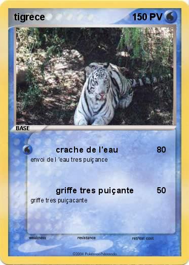 Pokemon tigrece