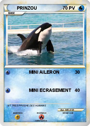 Pokemon PRINZOU