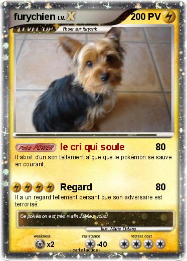 Pokemon furychien