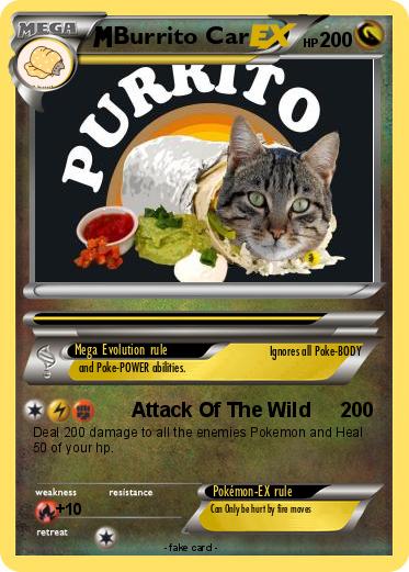 Pokemon Burrito Car