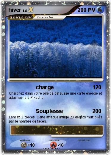Pokemon hiver