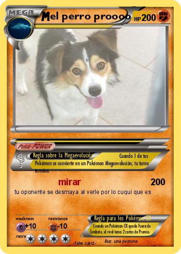 Pokemon el perro proooo