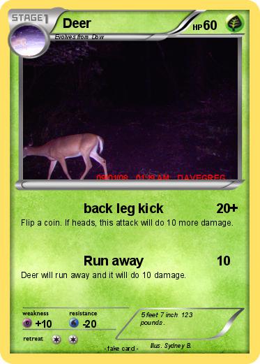 Pokemon Deer