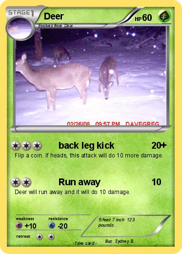 Pokemon Deer