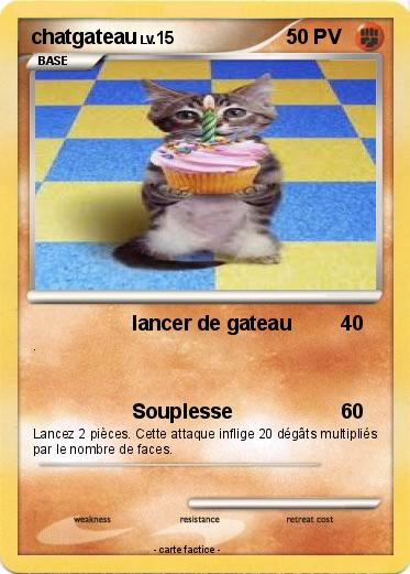 Pokemon chatgateau
