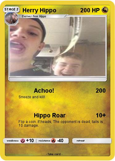 Pokemon Herry Hippo