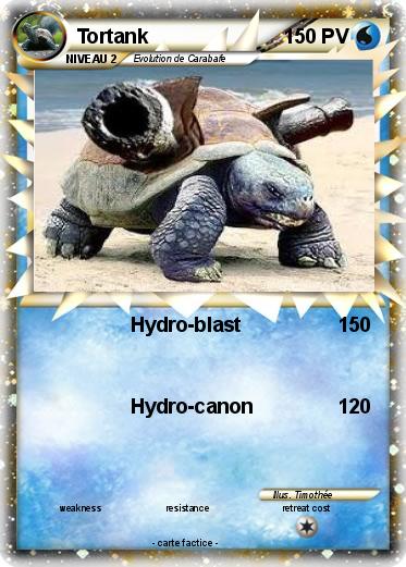 Pokemon Tortank