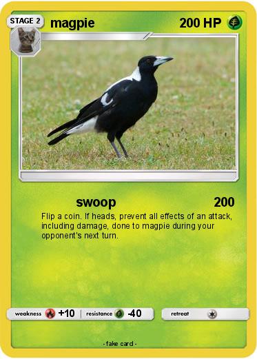 Pokemon magpie