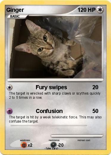 Pokemon Ginger