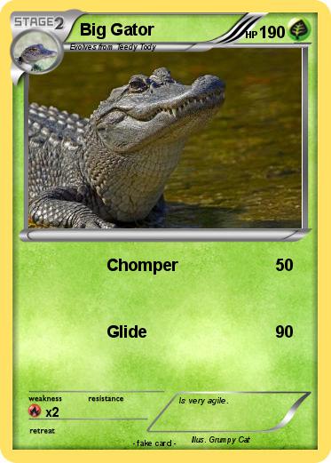 Pokemon Big Gator