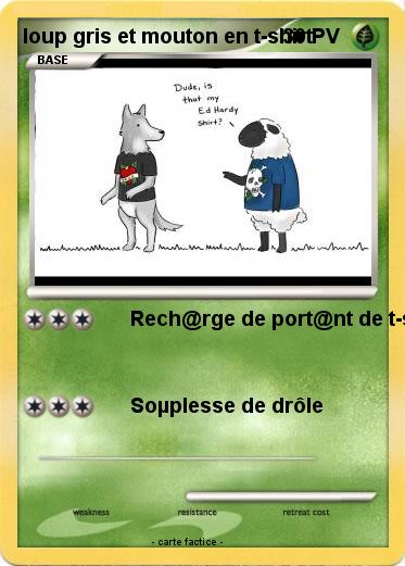 Pokemon loup gris et mouton en t-shirt