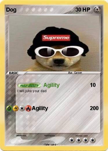 Pokemon Dog