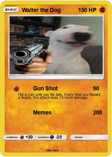 Pokemon Walter the Dog