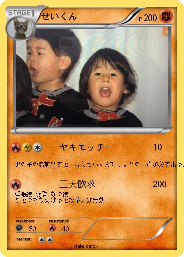 Pokemon せいくん