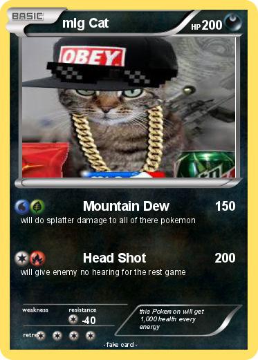 Pokemon mlg Cat