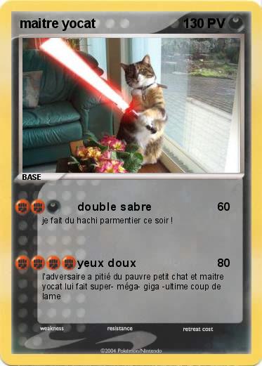 Pokemon maitre yocat