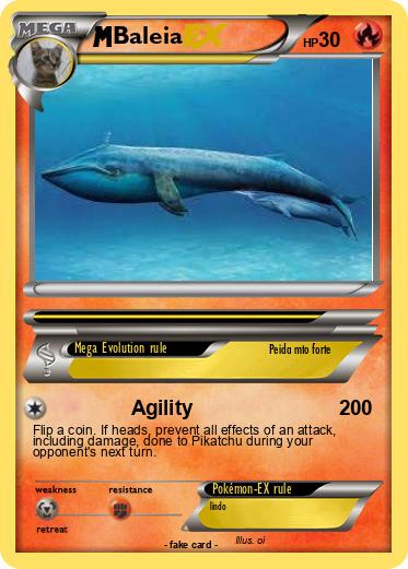 Pokemon Baleia