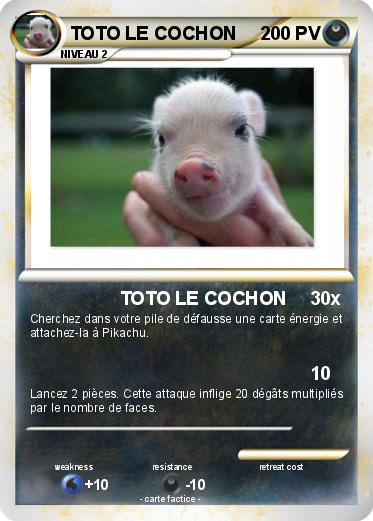 Pokemon TOTO LE COCHON