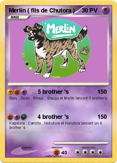 Pokemon Merlin ( fils de Chutora )