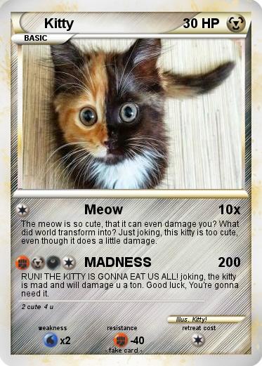 Pokemon Kitty