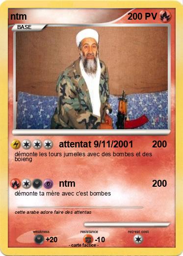 Pokemon ntm