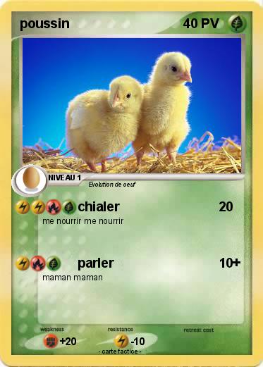 Pokemon poussin
