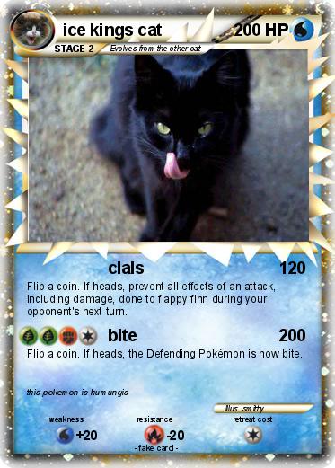 Pokemon ice kings cat