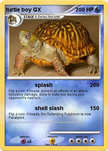 Pokemon turtle boy GX