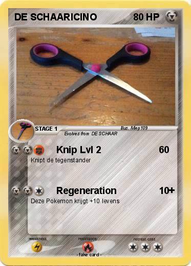 Pokemon DE SCHAARICINO