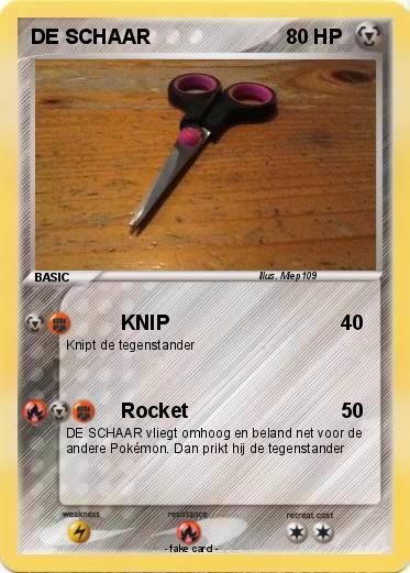 Pokemon DE SCHAAR