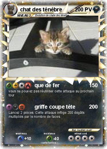 Pokemon chat des ténébre
